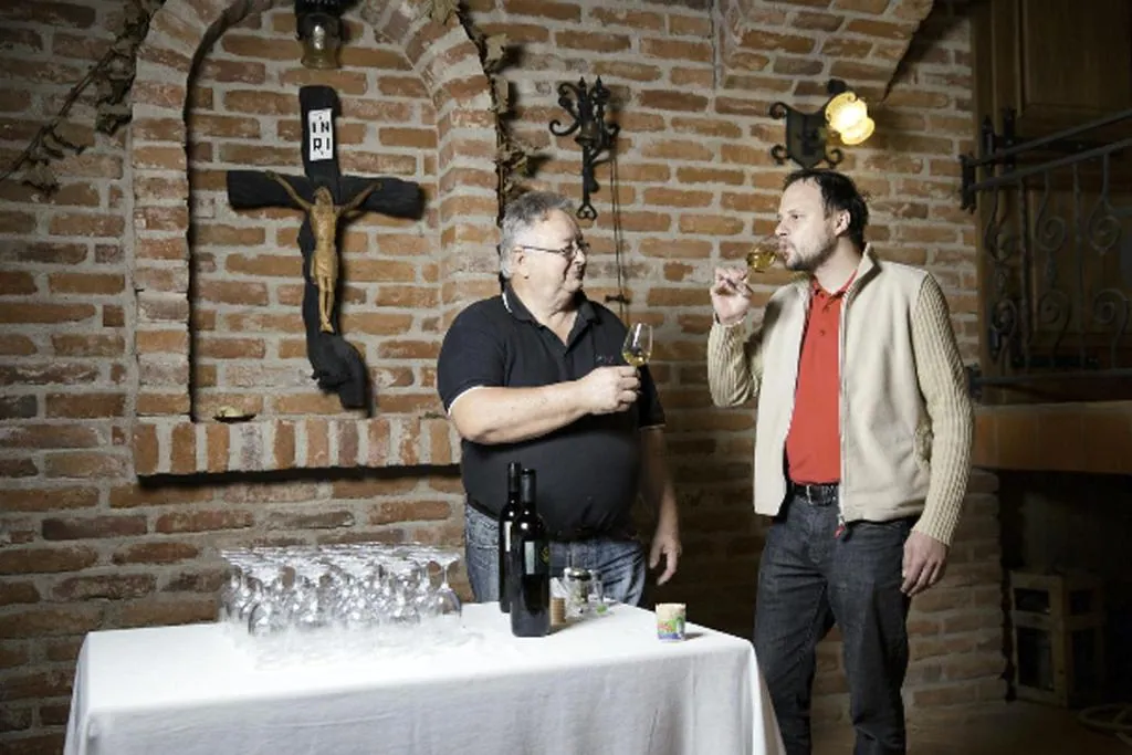 Degustacija vin v obokani kleti